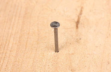 Metal nail in wooden plank