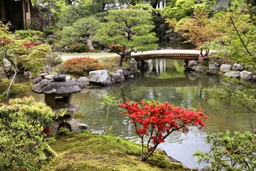 Photo sur Plexiglas Japon Jardin Isuien, Nara