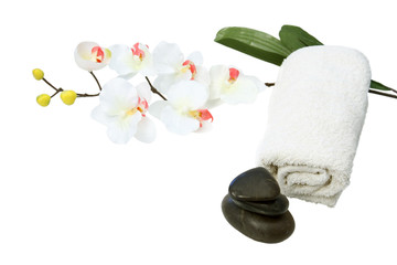 SPA objects on white background