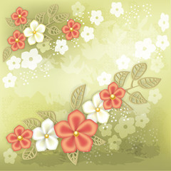 Stylish background with red and white flowers