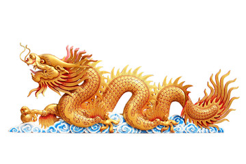 Gold Dragon with white background