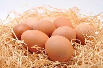 Eggs