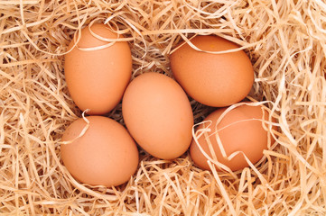 Eggs