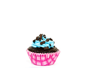 Cupcake isolated on white background
