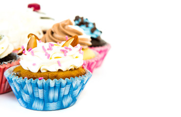Cupcakes isolated on white background