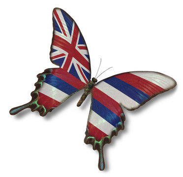 Hawaii flag on butterfly
