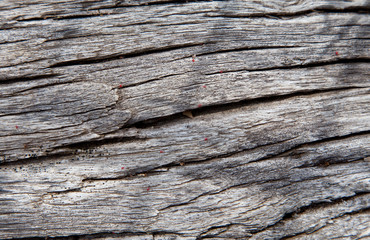 Altes Holz Textur