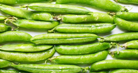Young green pea pods laid in the rows