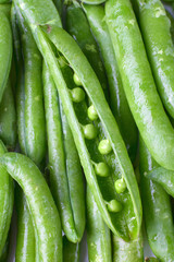 Close-up of fresh green pea pods with water drops.