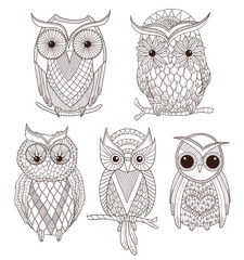 Naklejka premium Set of cute owls.