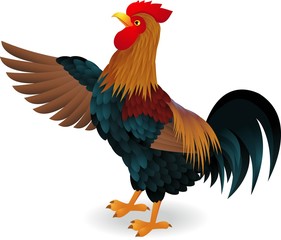 Rooster waving