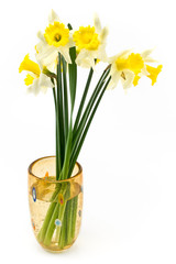 A bouquet of yellow daffodils narcissus