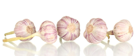 young garlic isolated on white background