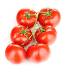Fresh tomatoes on branch isolated on white