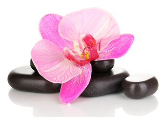 Obraz na płótnie Canvas Spa stones with orchid flower isolated on white