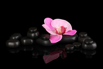 Fototapeta na wymiar Spa stones with orchid flower isolated on black