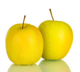 Ripe green apples isolated on white