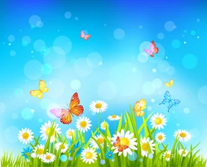 Crédence de cuisine en verre imprimé Papillon Fond de journée ensoleillée avec des fleurs et des papillons