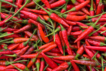 Background of closeup red hot peppers