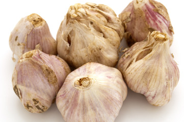 Obraz premium 島にんにく