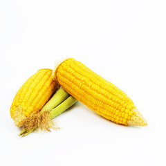 Boiled chopped corn. Isolated on the white.