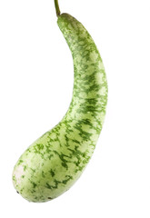squash