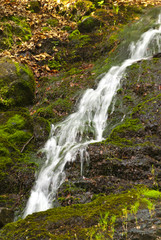 Obraz premium Spitterfall