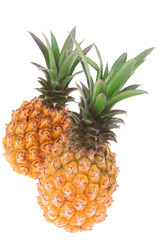 pair of whole fresh raw pineapple
