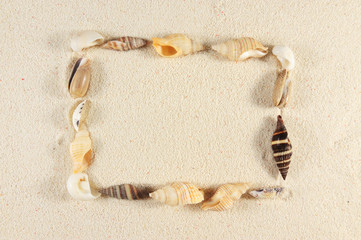 Fototapeta na wymiar Rectangle made of seashells