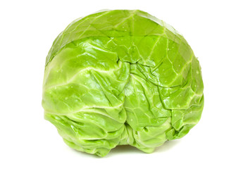 Green cabbage isolated on white background