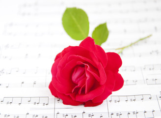 Rose and Music