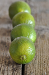 Vier Limetten in einer Reihe