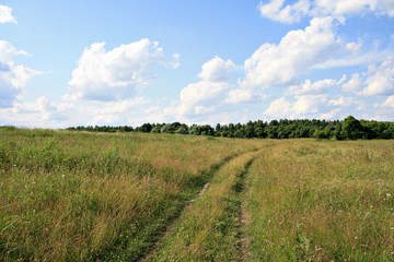 дорога в поле