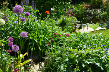 Garten Beet Blumen