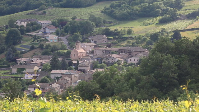 The village of Chasselas amongst the vineyards of Burgundy.