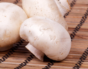 Raw White Champignon Mushroom closeup