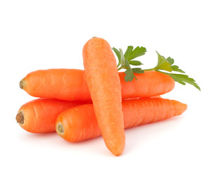 Carrot tubers