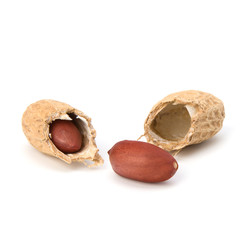 Peanut