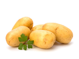 New potato and green parsley