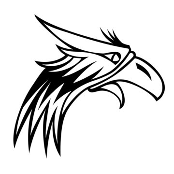 eagle isolated on white background for mascot or emblem design.
