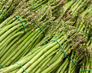 Bunches of Asparagus