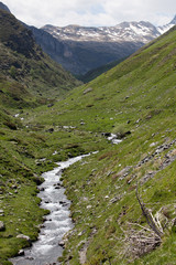 Fototapeta premium Torrent, Pyrénées