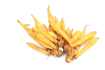 Fingerroot on white background
