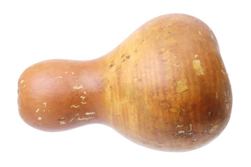 Chinese Gourd