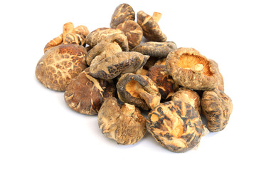 Shiitake Mushroom dry isolated on white