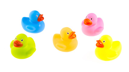 Rubber ducks isolated