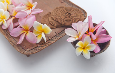 Frangipani concept