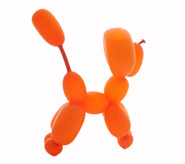 balloon dog