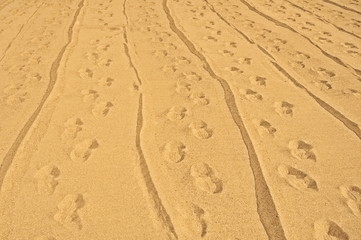 Muster im Sand, helles ocker