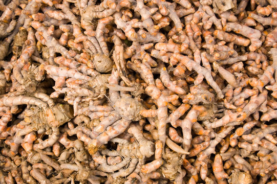 Ginger root for sale in Cambodian market